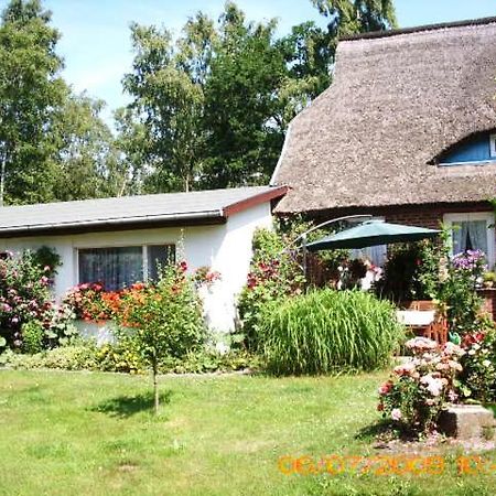 Ferienwohnung "Kleine Deichperle" Prerow Bagian luar foto