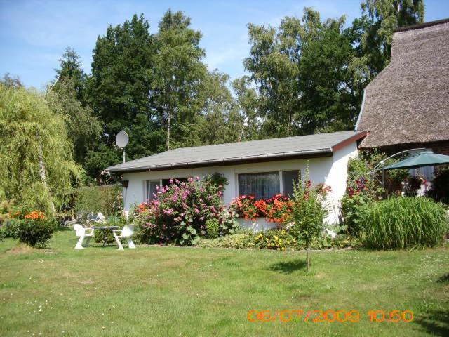 Ferienwohnung "Kleine Deichperle" Prerow Bagian luar foto