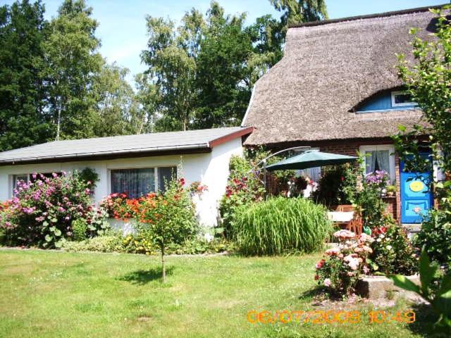Ferienwohnung "Kleine Deichperle" Prerow Bagian luar foto